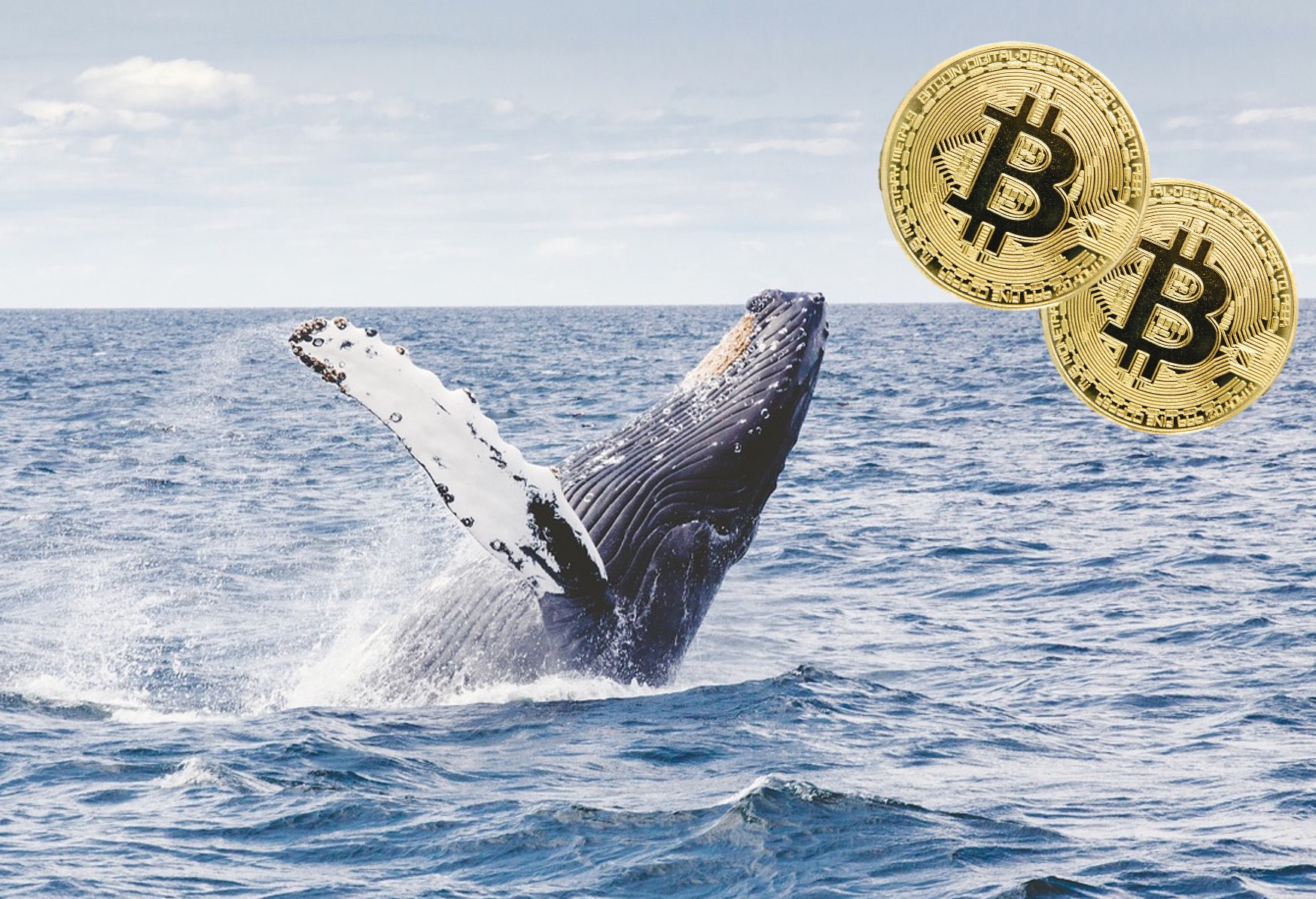比特币鲸鱼全力购入价值1.08亿美金的比特币，标普指数大涨