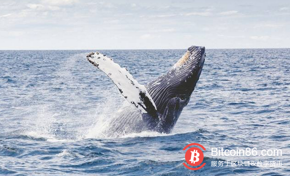 “巨鲸”囤积比特币，持有超过1000枚比特币地址数量增长并创新高