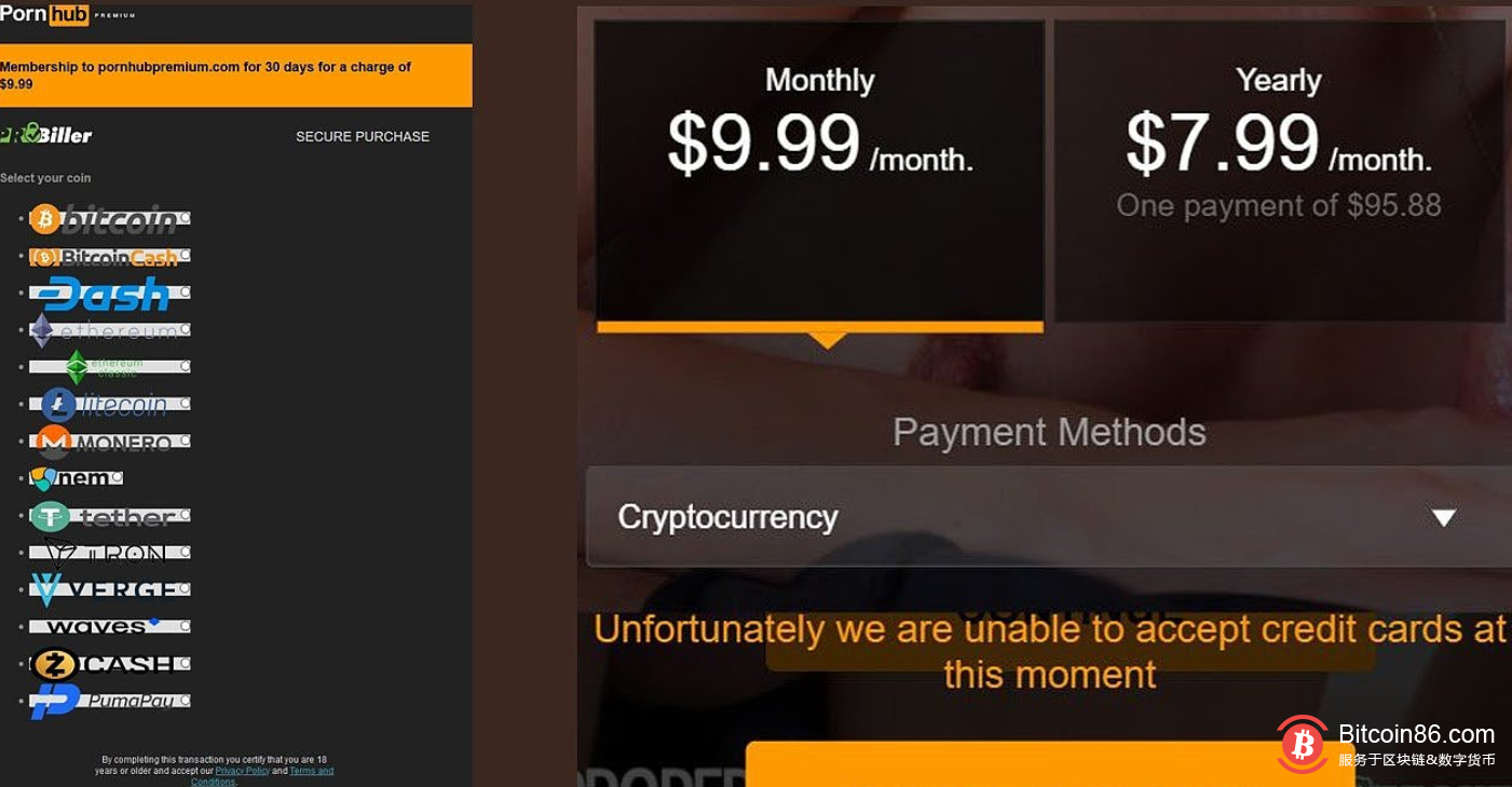  成人网站Pornhub只接受加密货币作为默认支付方式 